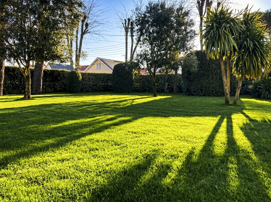 Jardin paysager extérieur avec pelouse verte parfaitement entretenue, haies taillées géométriques, conifères bleus ornementaux, massifs floraux colorés et arbustes variés sous ciel nuageux