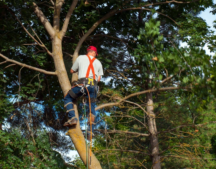 Chantier extérieur d'aménagement paysager avec excavatrice compacte jaune positionnée sur dalle béton